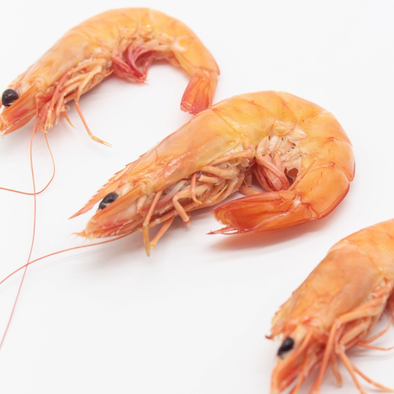 Buy King Prawns online Galician seafood home delivered