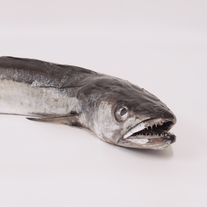 Buy hake online (3/4) Fresh fish home delivery