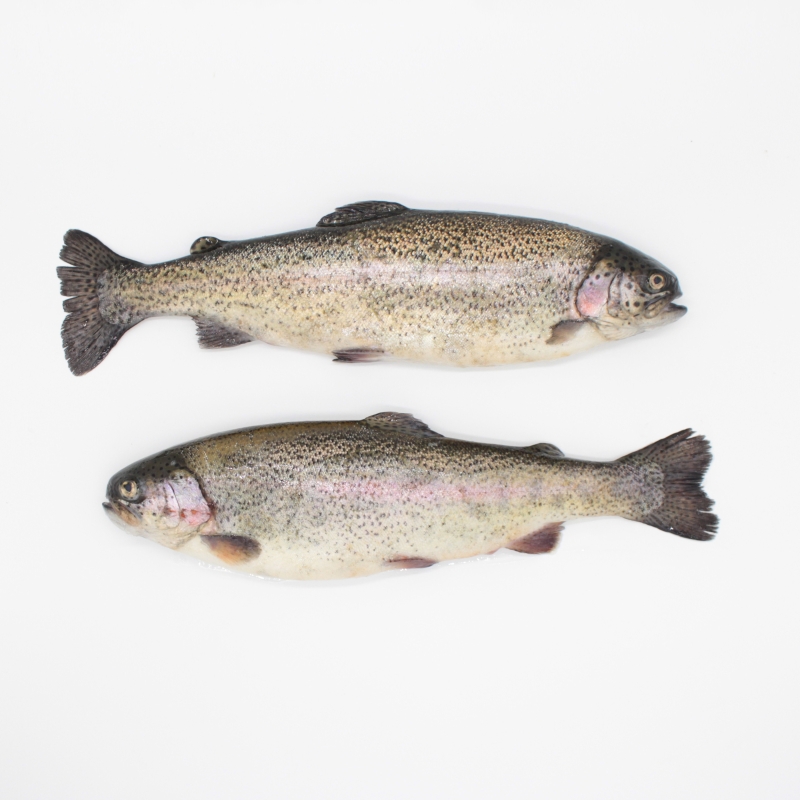 Buy Trout online Fresh fish home delivery