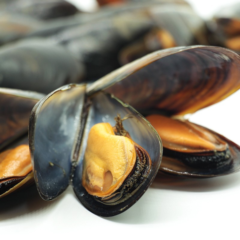 Buy fresh mussels online Galician shellfish home delivery
