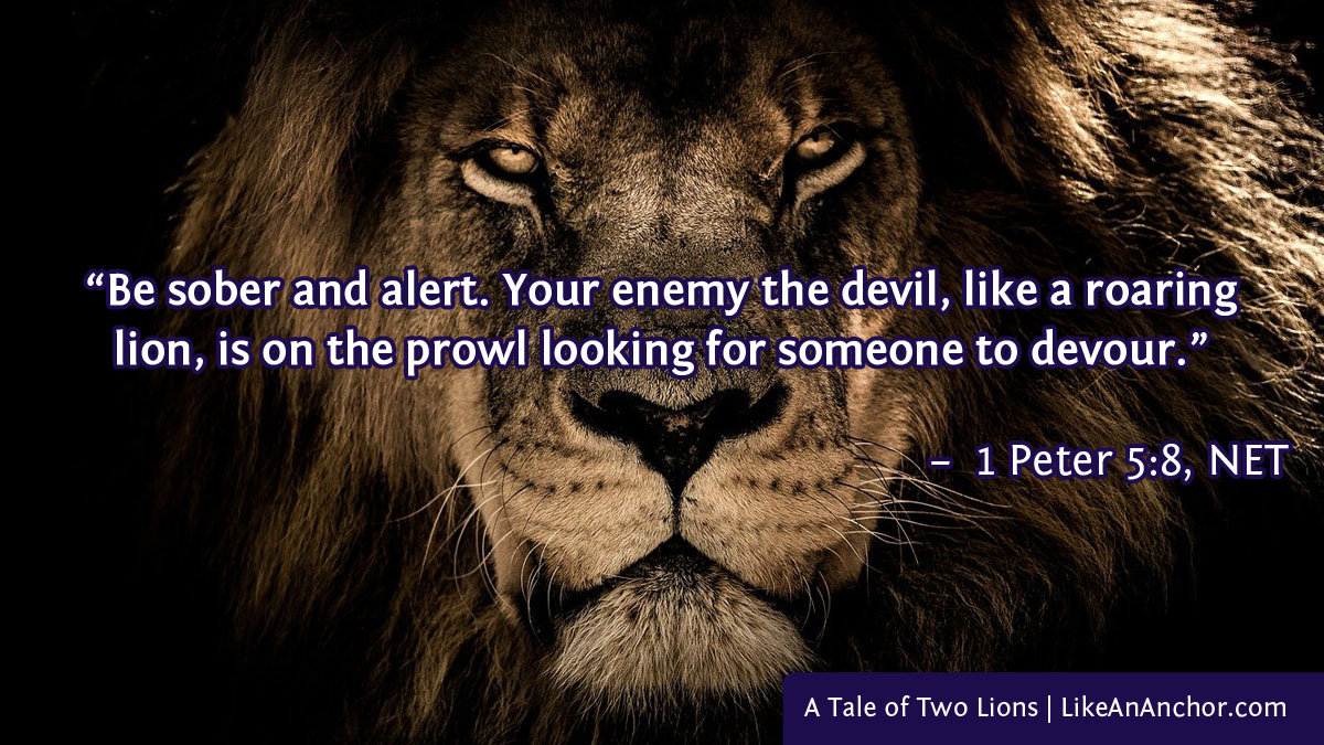 A Tale of Two Lions Like An Anchor