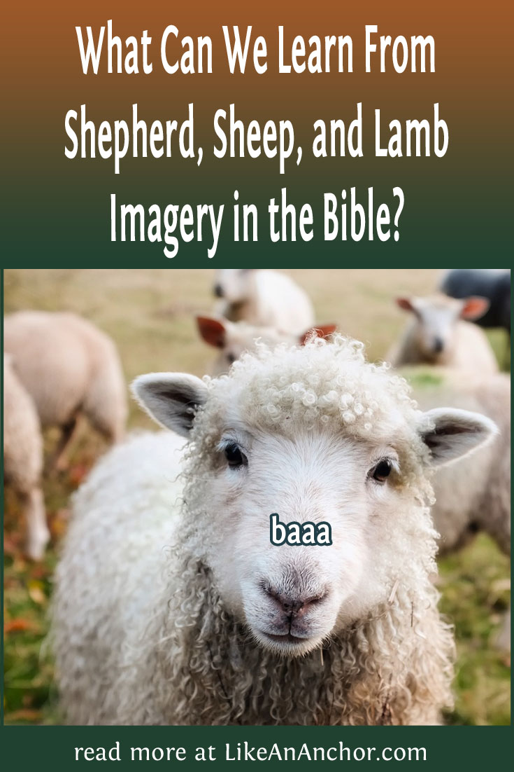 What Can We Learn From Shepherd, Sheep, and Lamb Imagery in the Bible