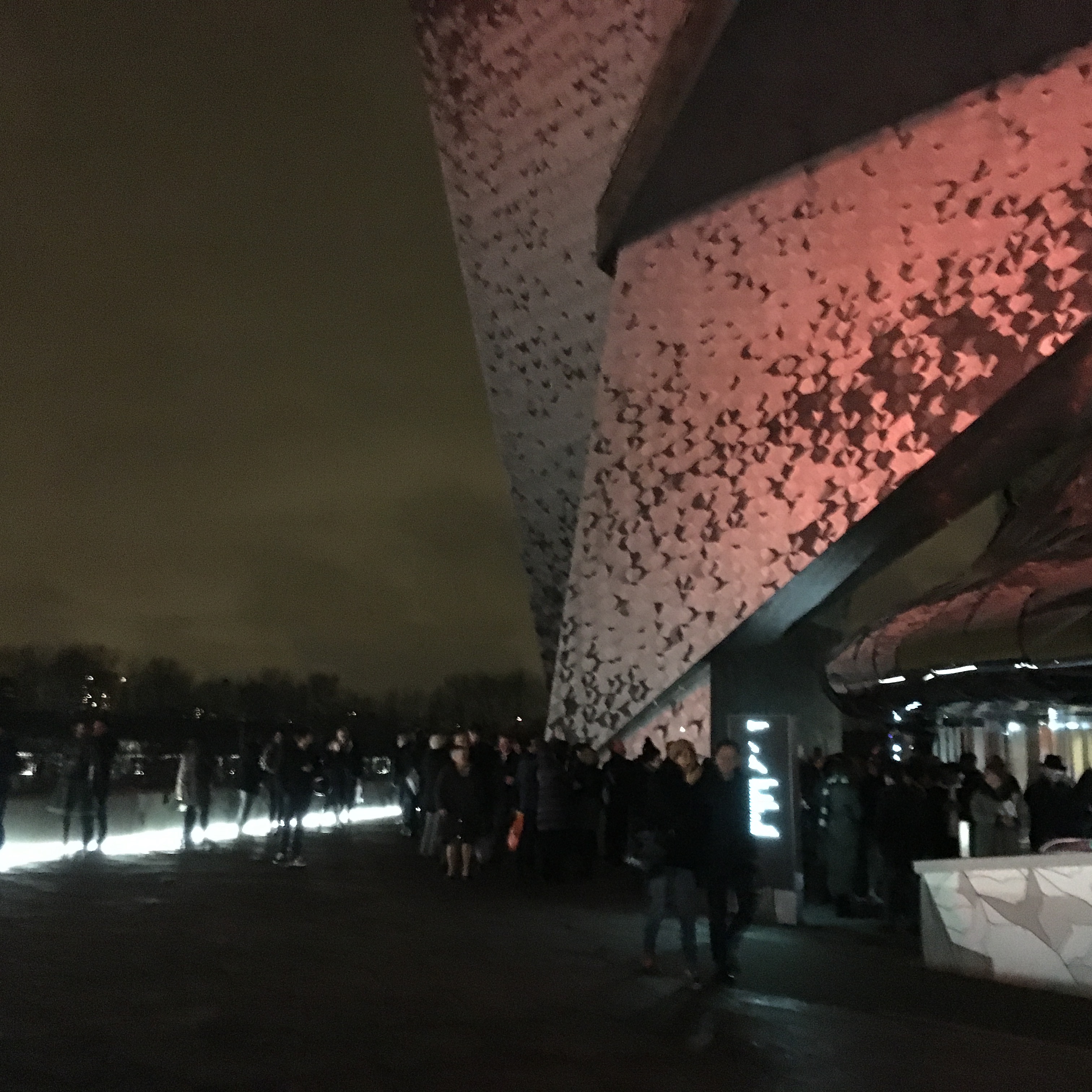 Home Alone in Paris POINT de VUE PARIS