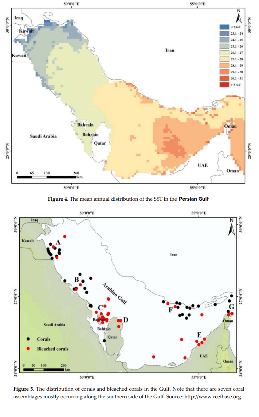 Assessment of Climate Change Impacts on Sea Surface Temperatures and