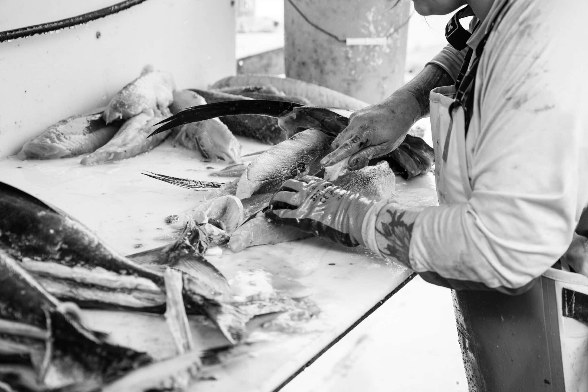 Working Waterfronts Seafood Connection, Westport Maritime Washington
