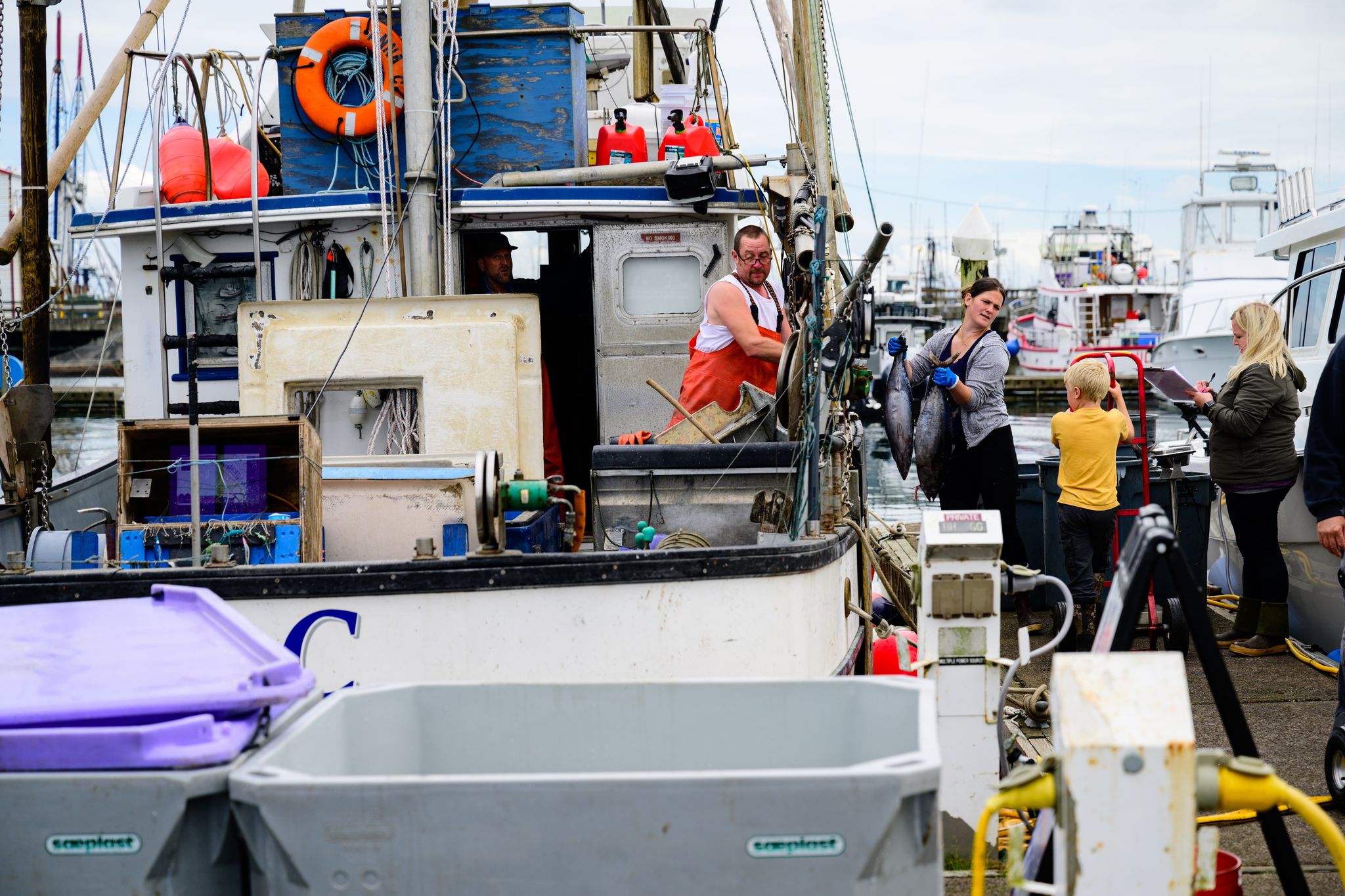 Working Waterfronts Seafood Connection, Westport Maritime Washington
