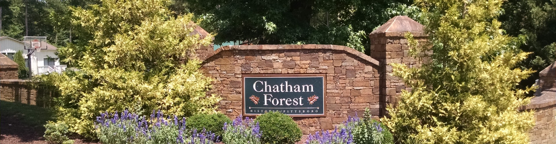 Chatham County NC and Triangle Area Real Estate