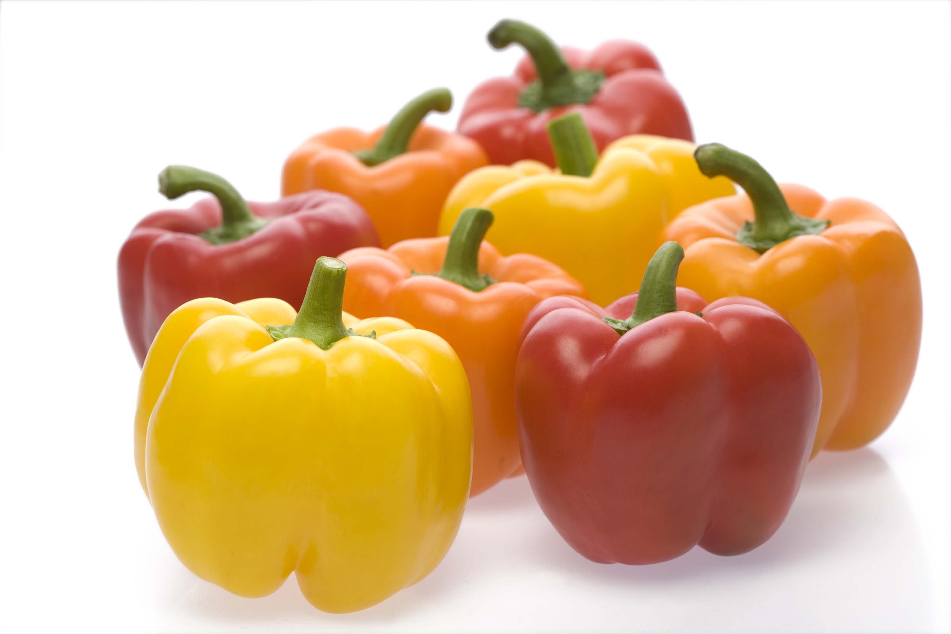 Peperoni L.P.D. Local Product Distribution