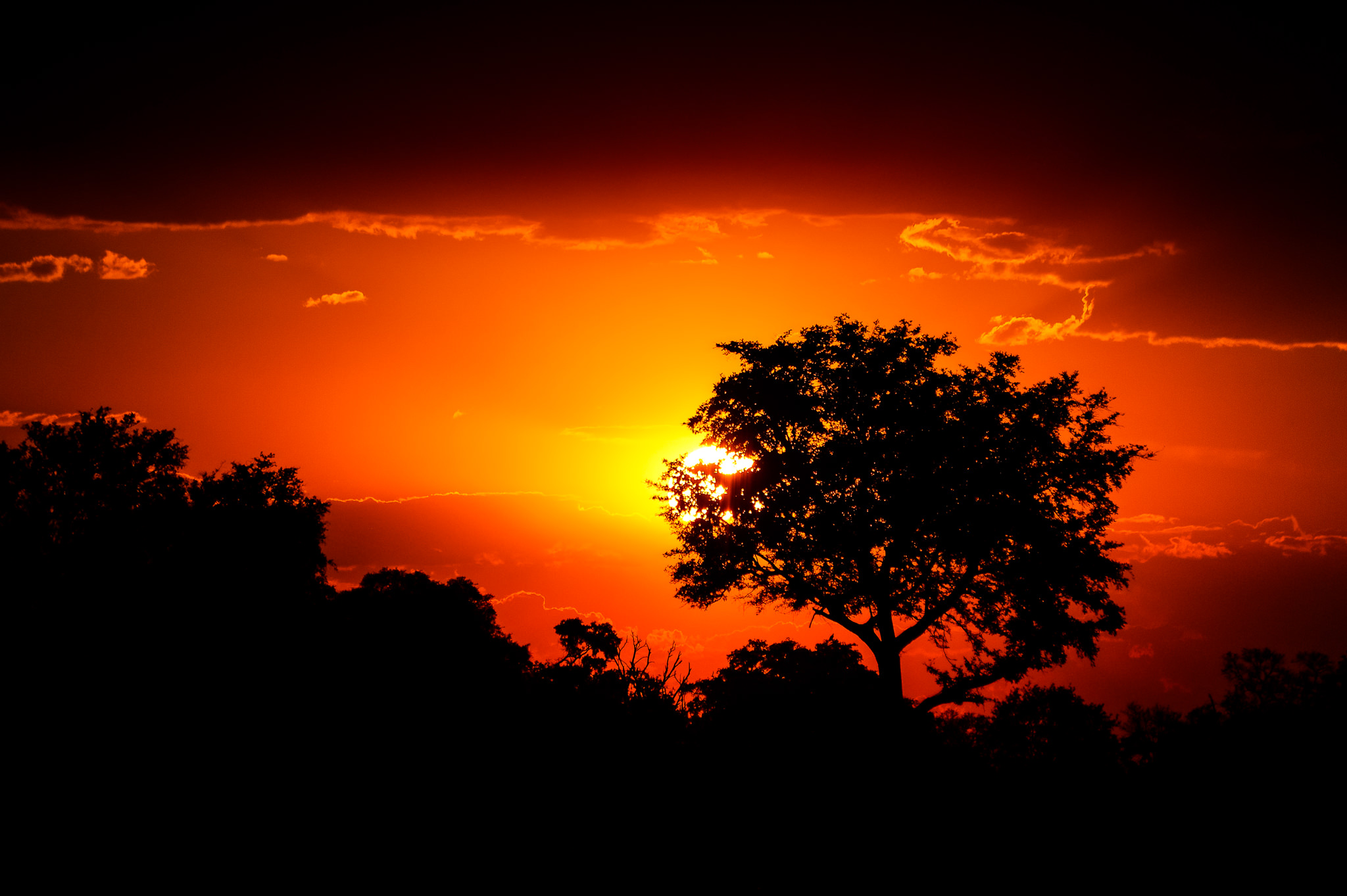 AFRICAN SUNSET MARJA SCHWARTZ PHOTOGRAPHY