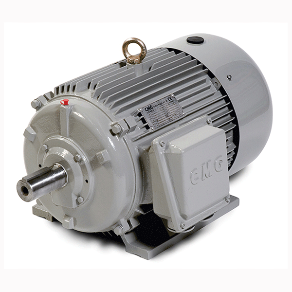 2.2KW Cast Iron AC Industrial Motor 2.2KW Three Phase (415V) AC