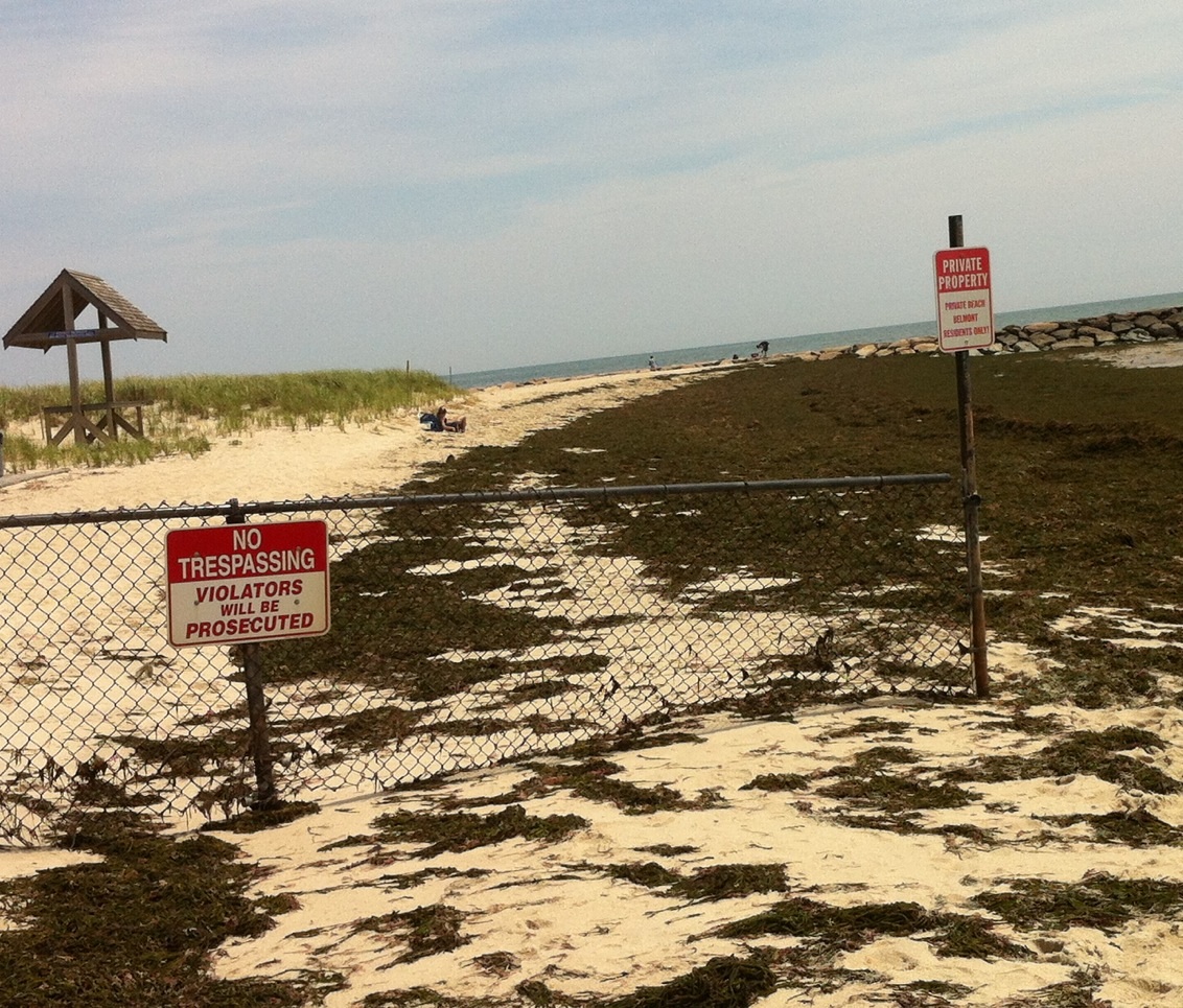 In words and pictures, why we loved our trip to Cape Cod Mark Bialczak