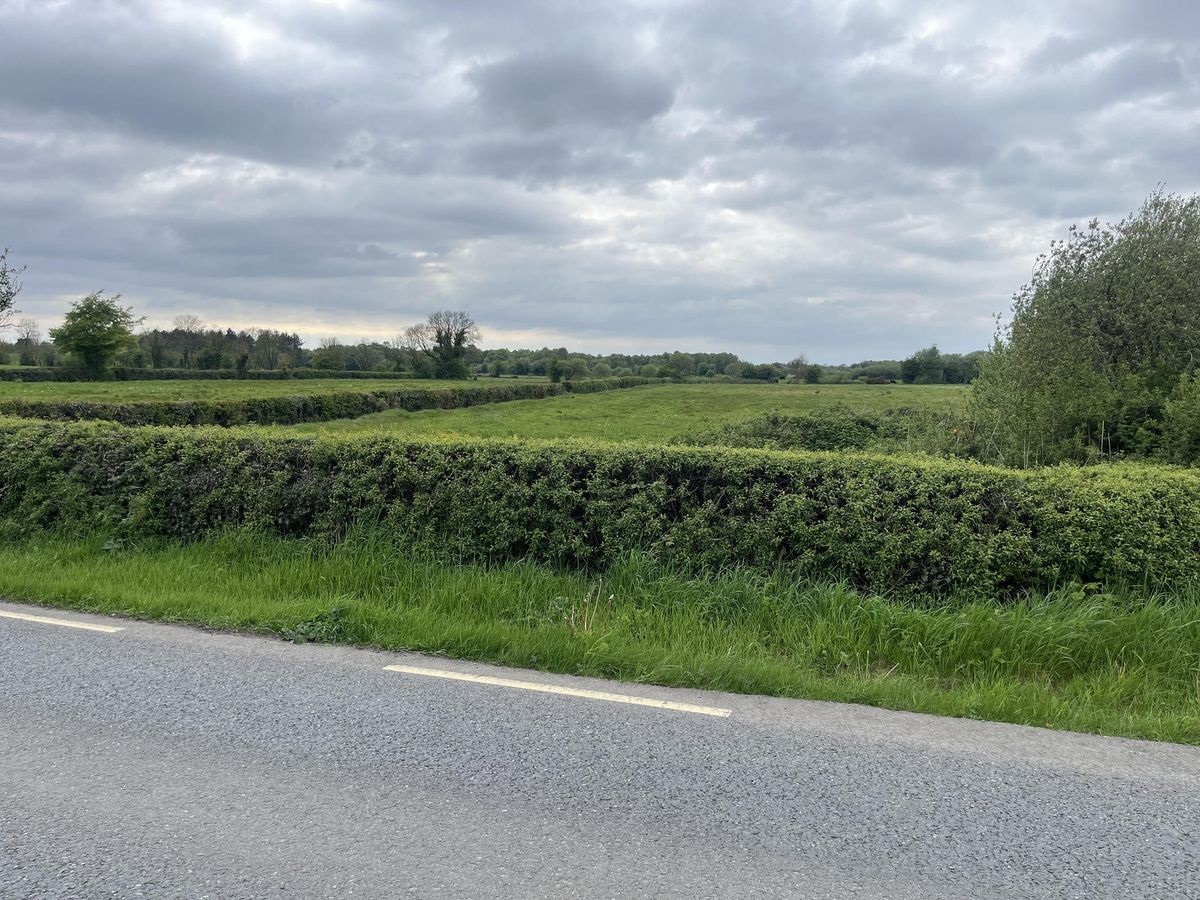 Rathvilla, Edenderry, Co. Offaly Mark Conroy Properties