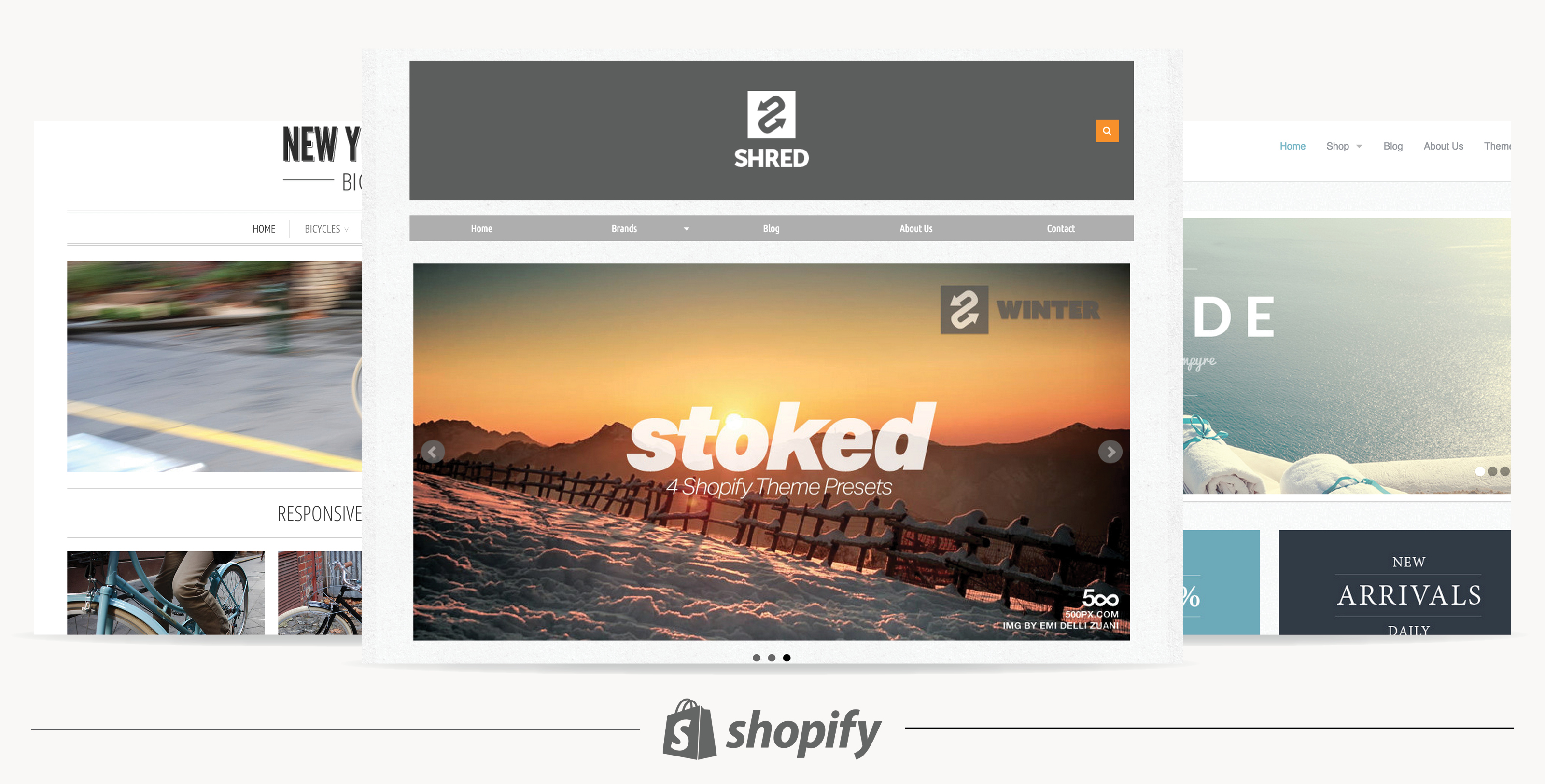 Shopify Website Design