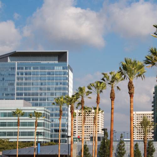 Irvine - European Auto Repair, Service, Maintenance - MDM