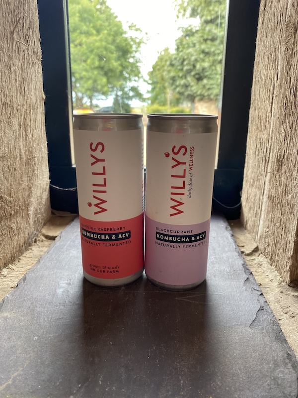 Willy’s Sparkling Kombucha & ACV Drink 250ml Carfrae Farm Market