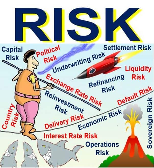 what is the meaning of financial risk in business