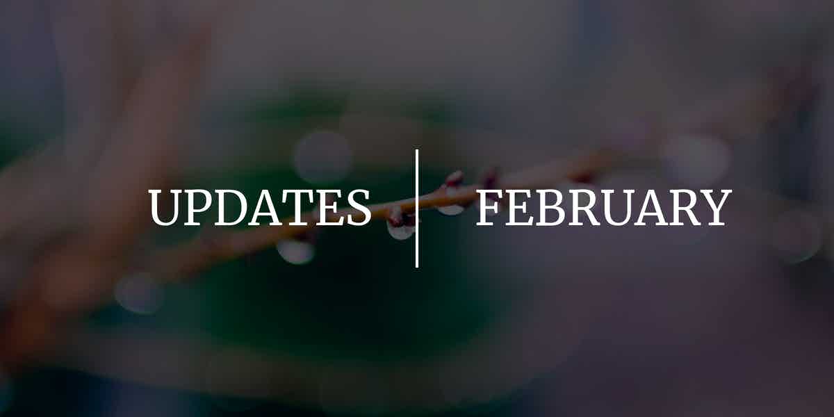 New Release February 2021 Market Dojo