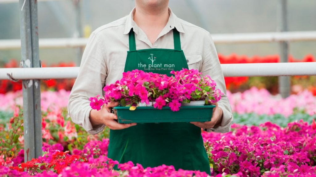 The Plant Man Market Harborough