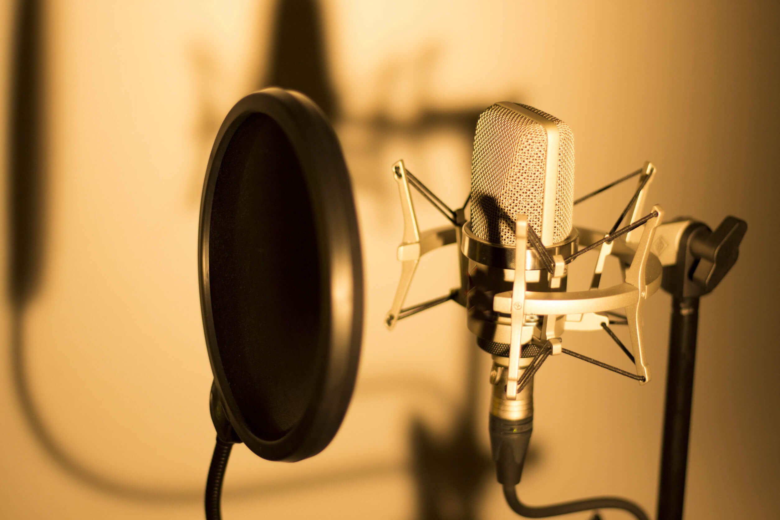 When To Use A Professional For Your eLearning Voice Over Narration