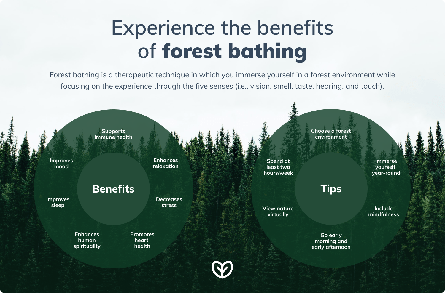 Forest Bathing Benefits