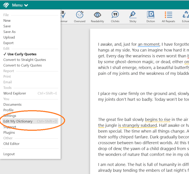 How Can I Edit my ProWritingAid Dictionary?