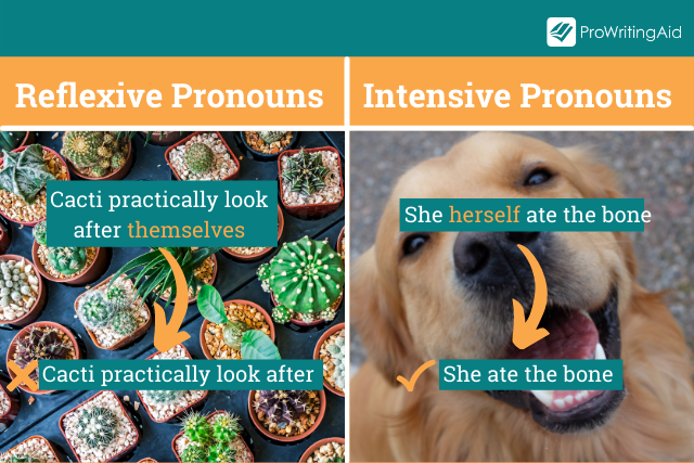 Pronoun: Definition, Meaning and Types Explained (with examples) - The