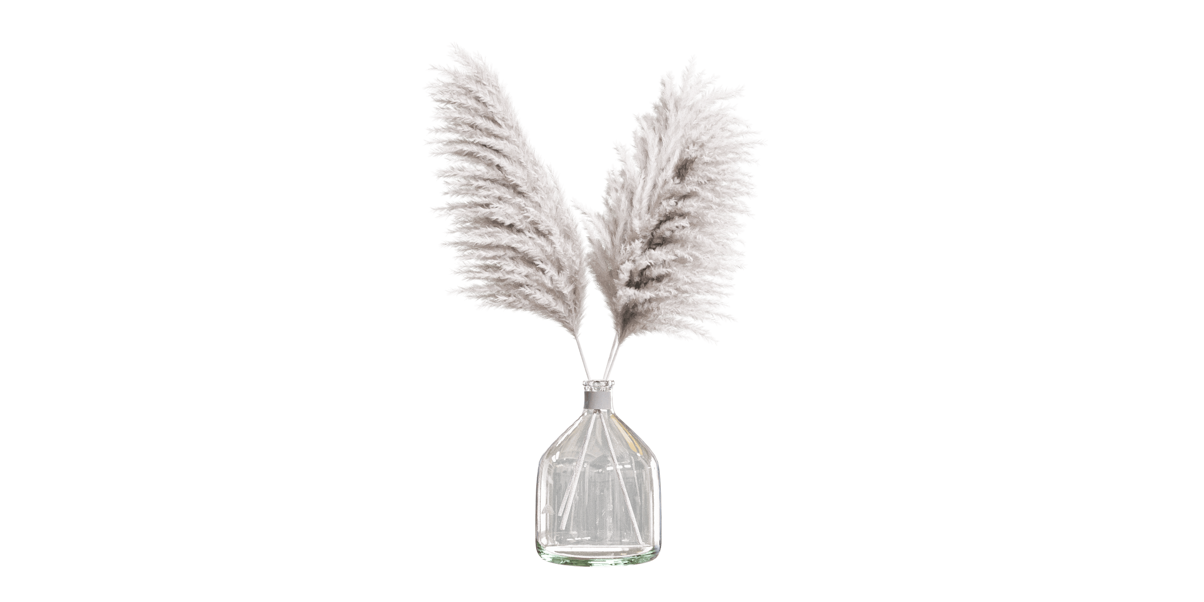 Pampas grass in glass vase Blender Market