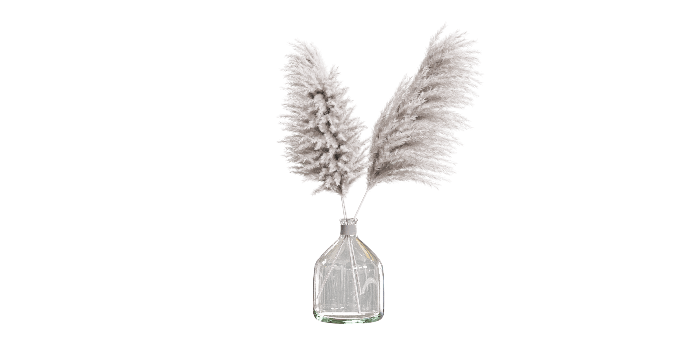 Pampas grass in glass vase Blender Market