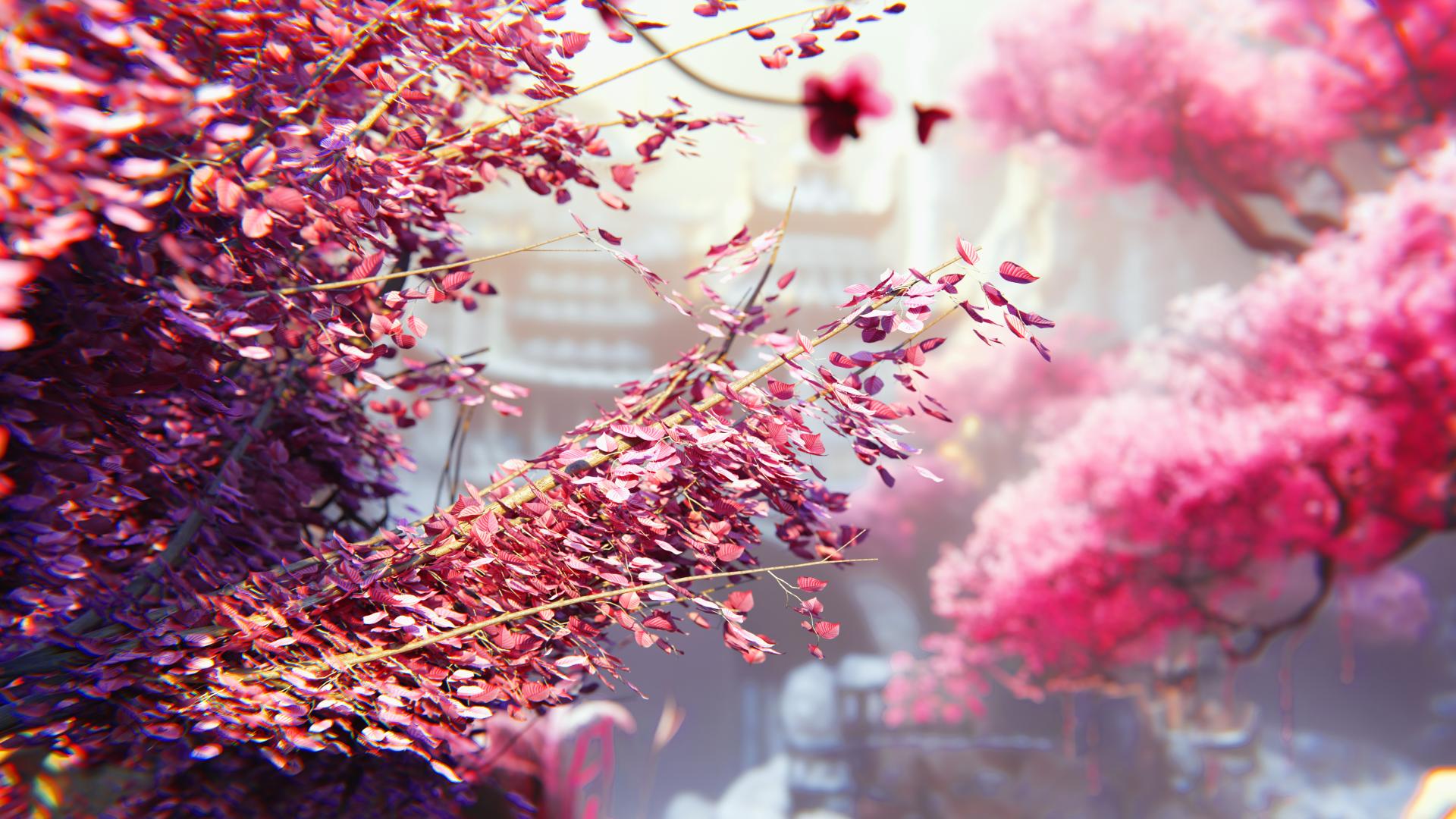 Japan Cherry Blossom Tree pack (10 trees) Blender Market