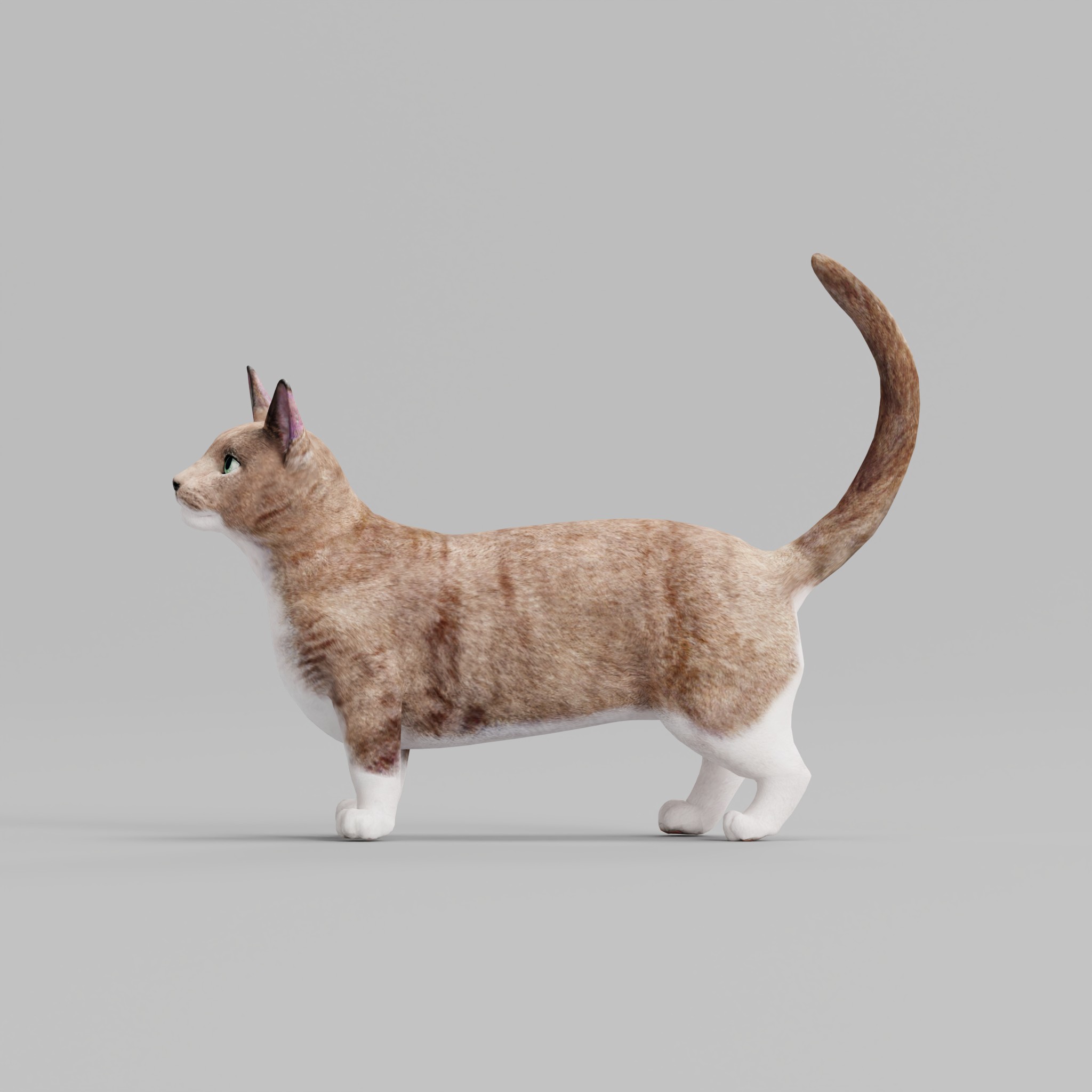 Munchkin Sausage Cat Blender Market