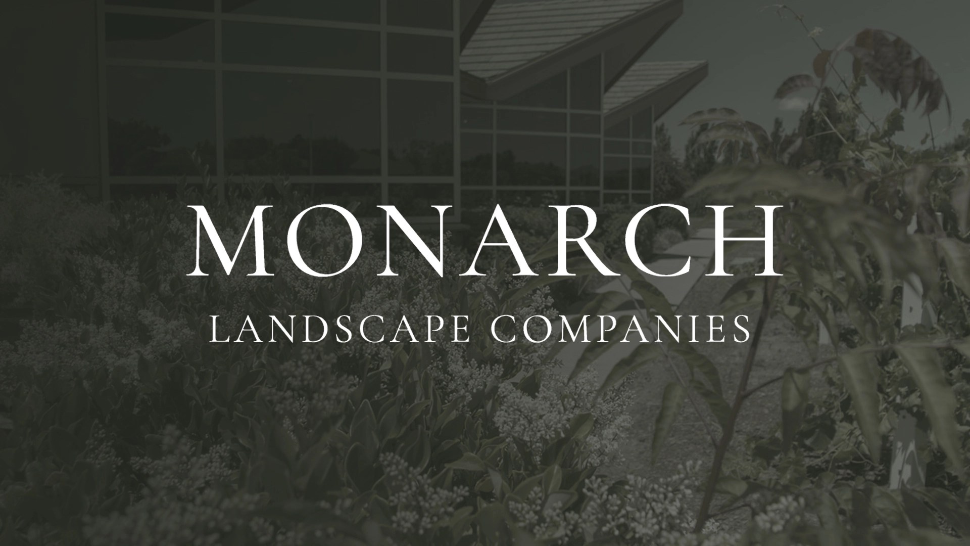Monarch Landscape