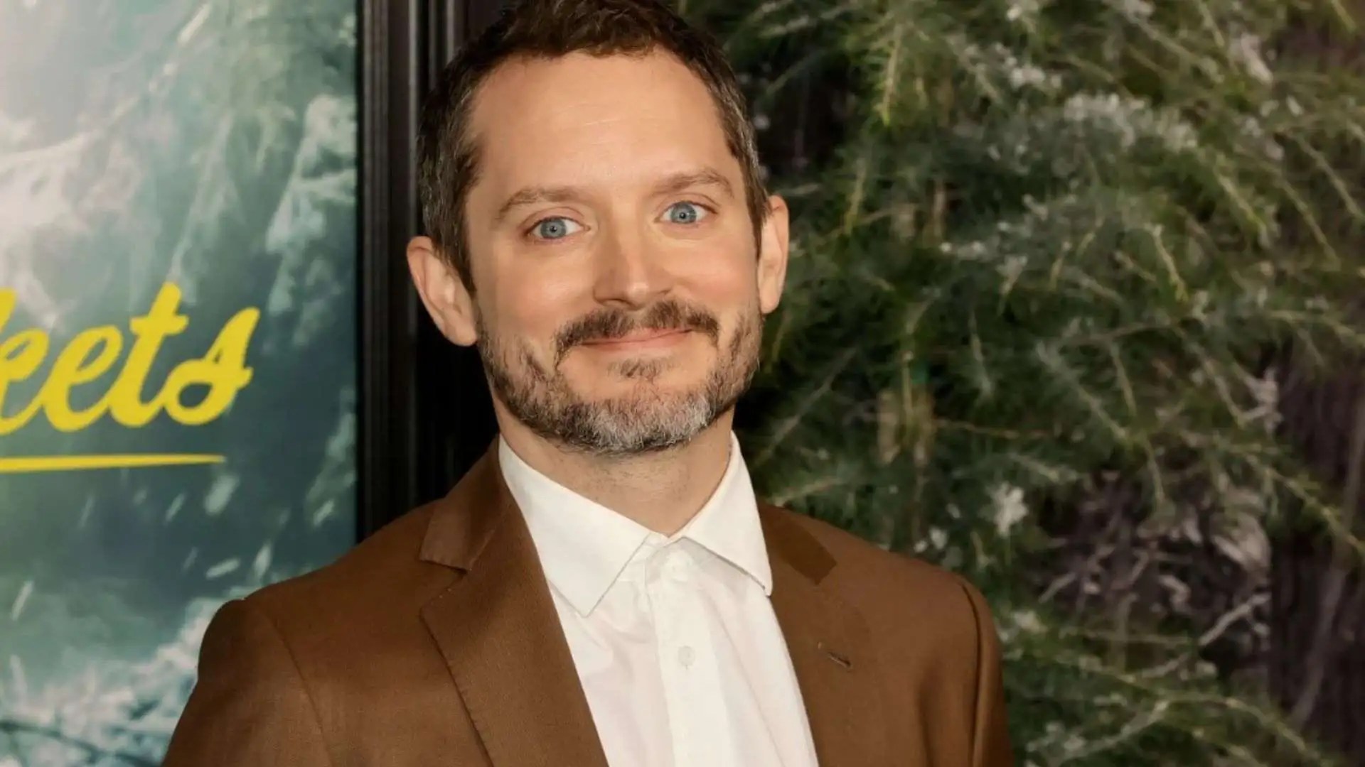 Elijah Wood Staggering Net Worth