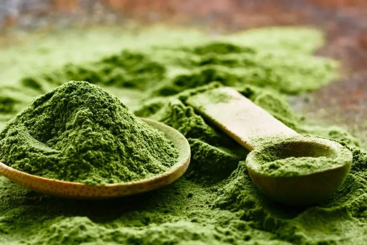 6 Different Types of Kratom and Their Effects Market Share Group