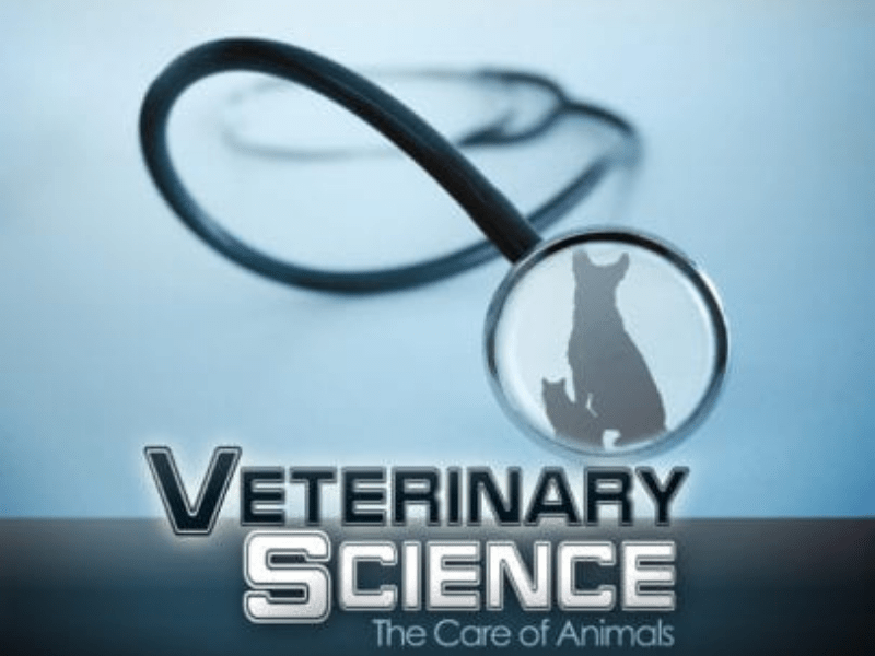 Veterinary Science Market Square Education