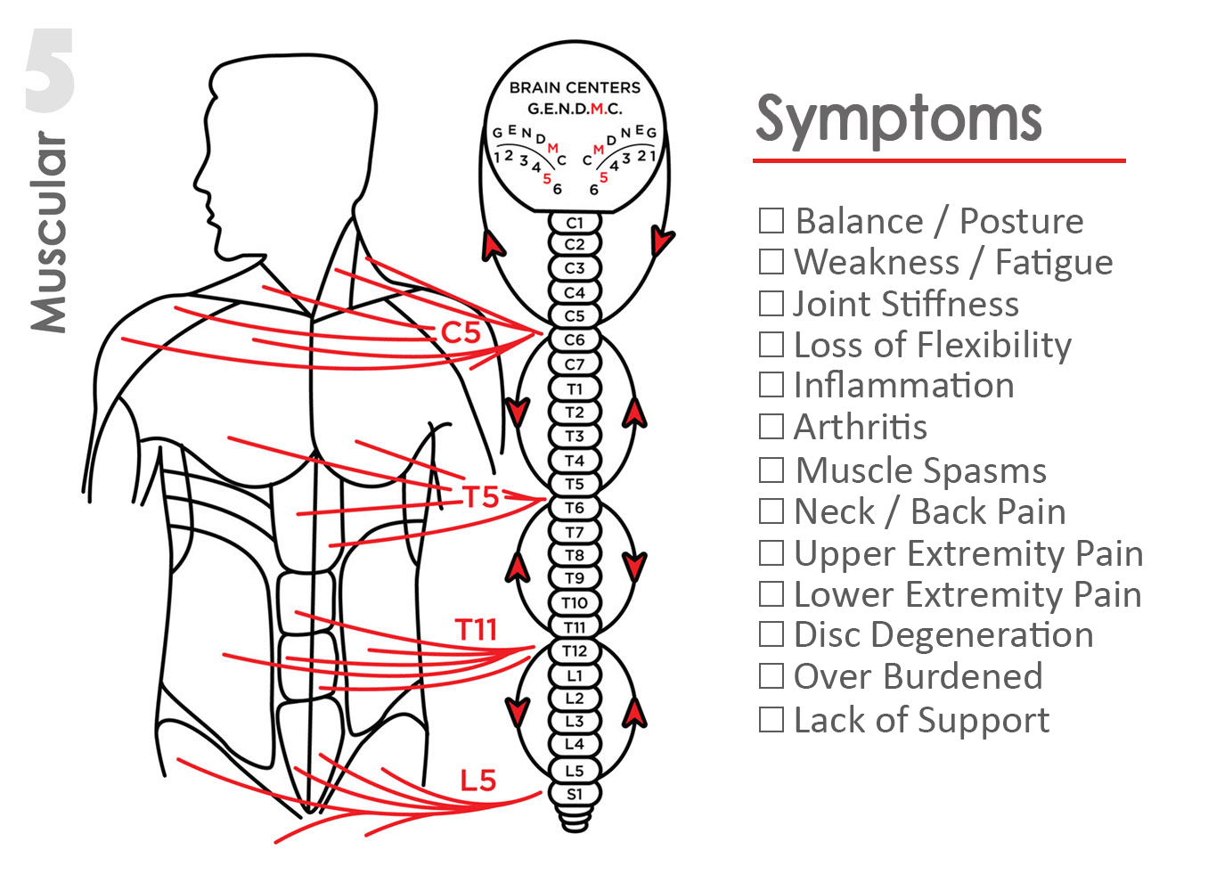 Health Zone Chiropractic
