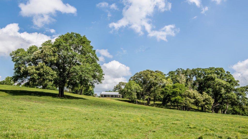 Huntsville TX Real Estate Markham Realty Huntsville, TX