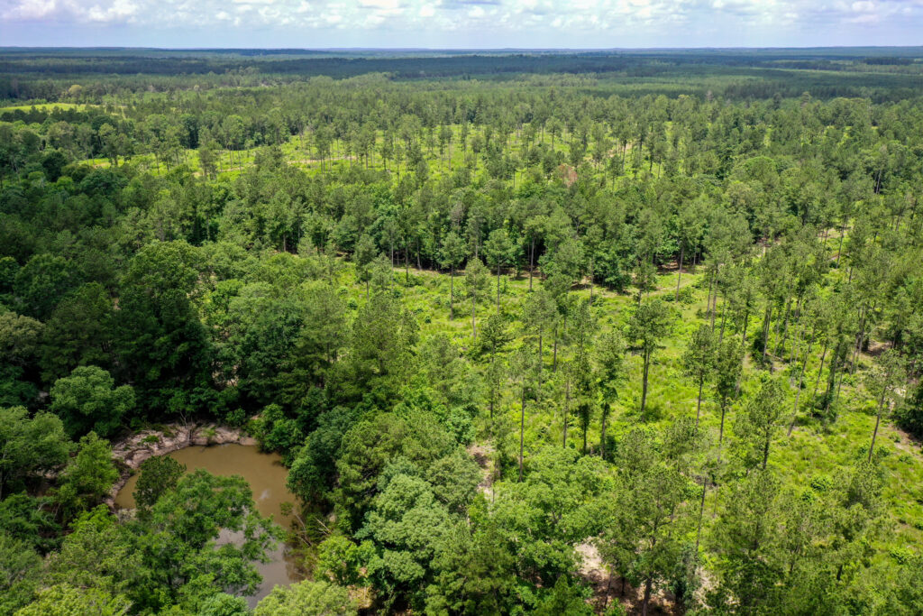 Huntsville TX Real Estate Markham Realty Huntsville, TX