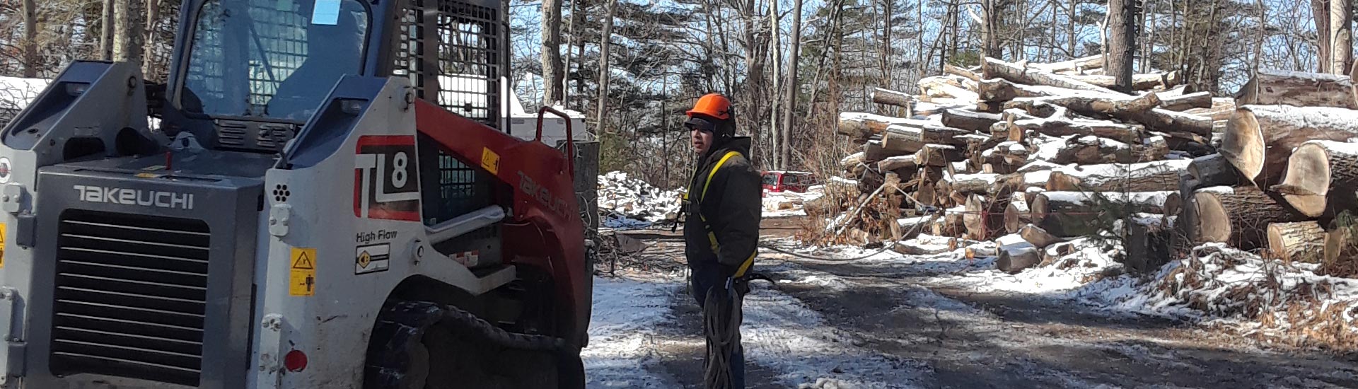 Markham Tree Service