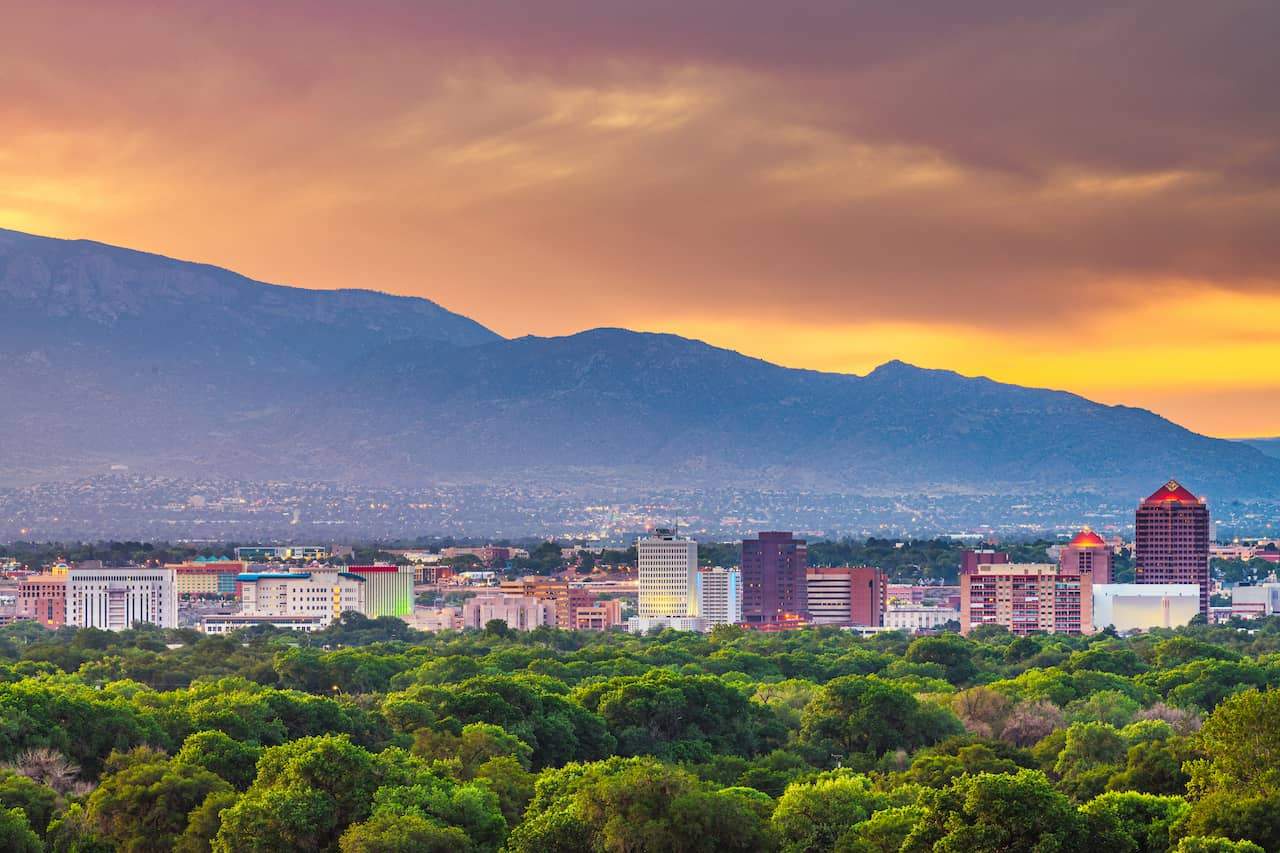 Albuquerque SEO Services for Small Businesses Markitors