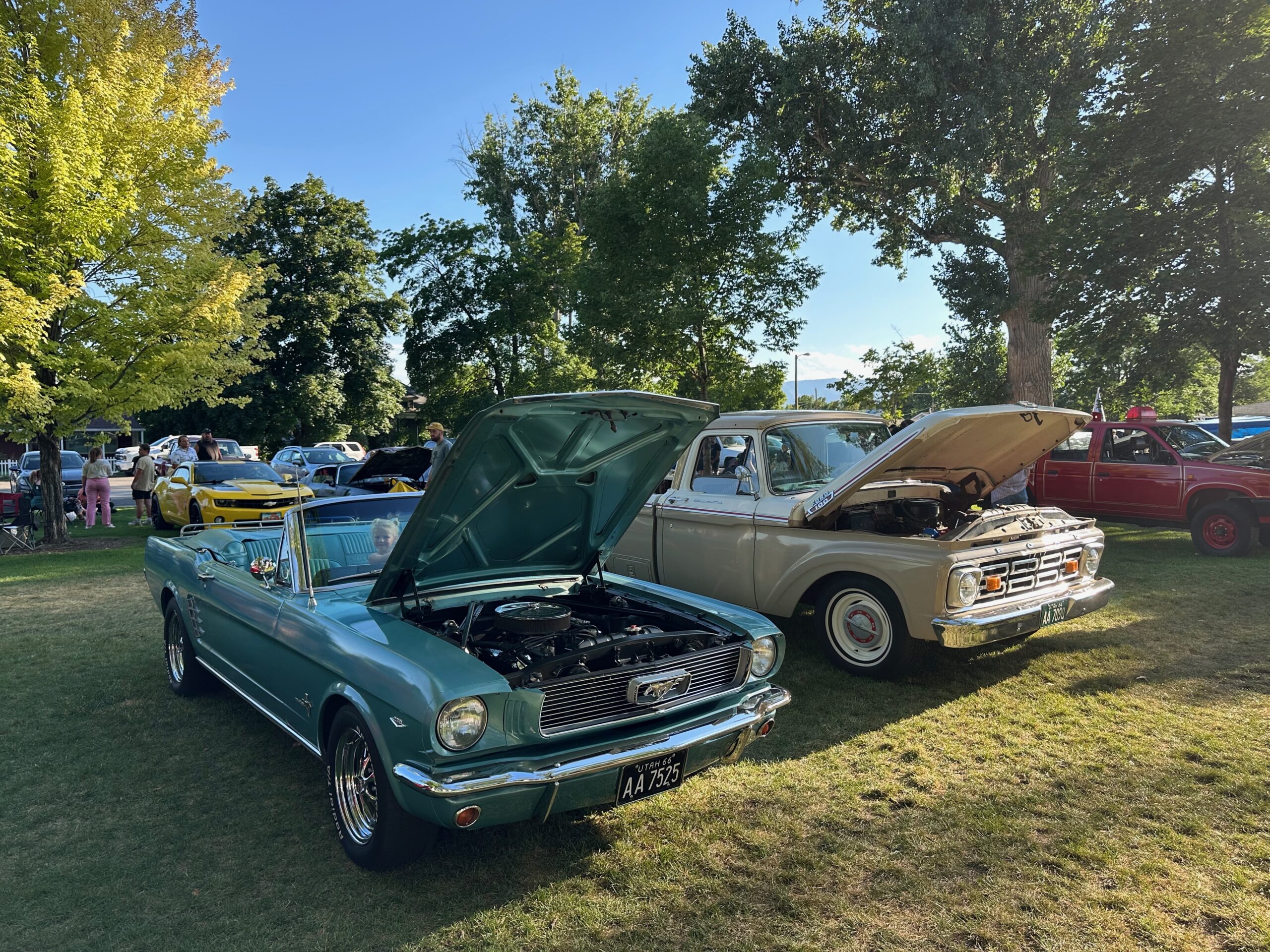 Car Show Mark McKell