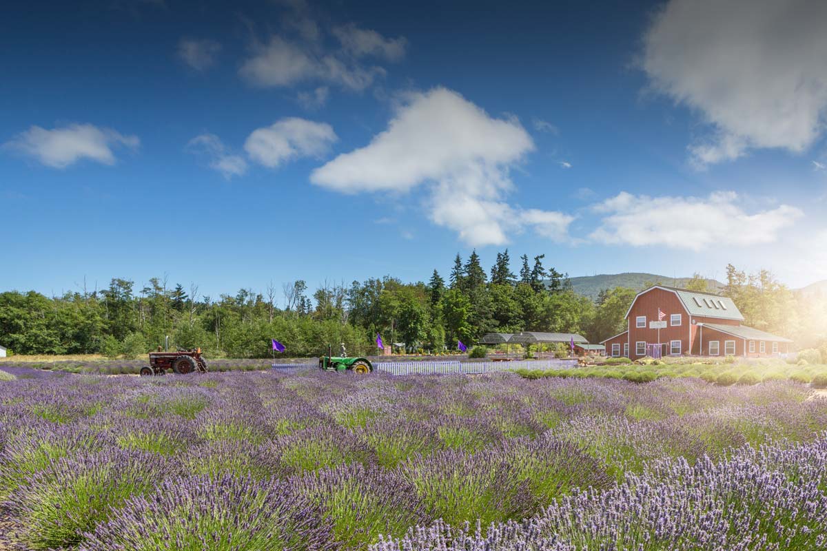 Mark N. McHugh Real Estate in Sequim Washington