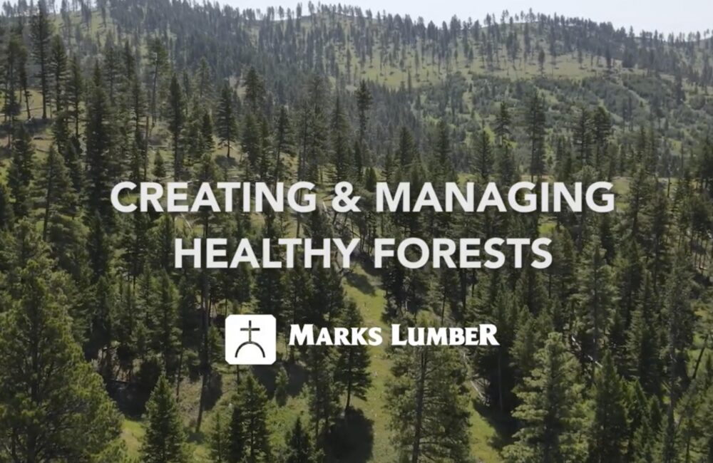 Creating and Managing Healthy Forests A Video for Montana Forest