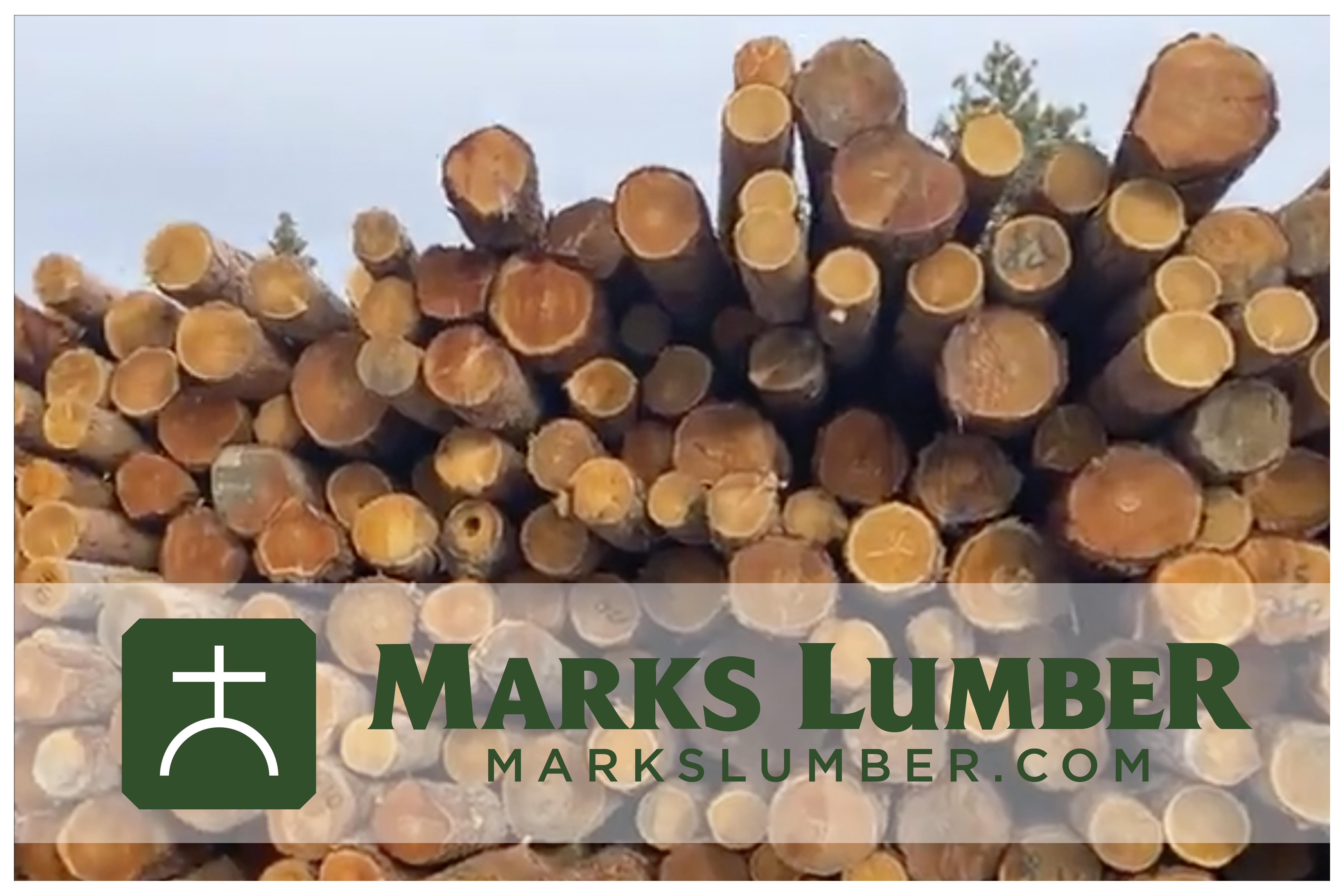 Forest Products Week Virtual Tour Marks Lumber