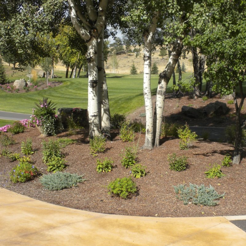 Montana Lumber Yard Marks Lumber