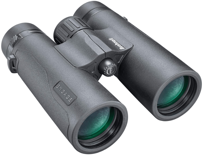 8 Best Safari Binoculars MarksmanOptics