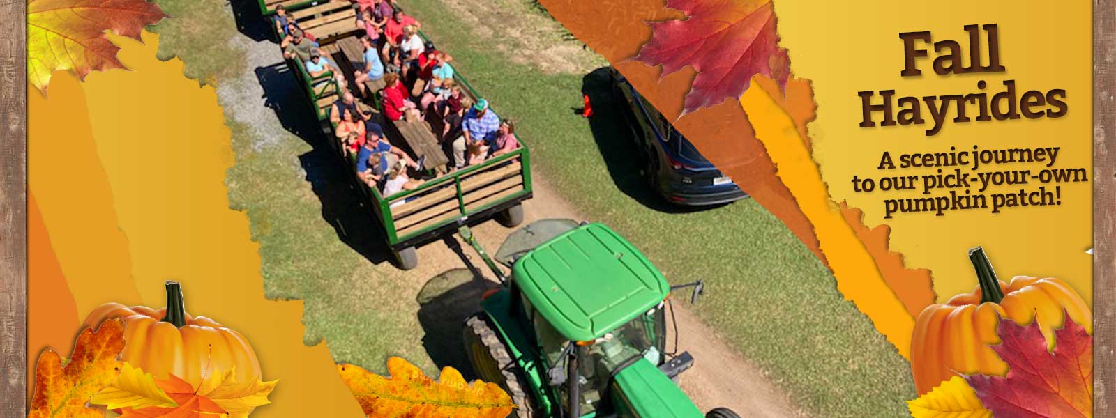 Locally Grown Fruits & Vegetables from Mark's Melon Patch near Albany