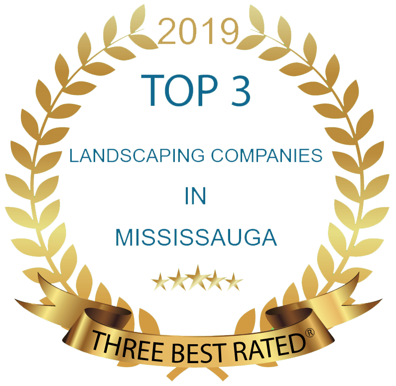 Interlocking & Concrete Contractor Mississauga, Brampton, Milton