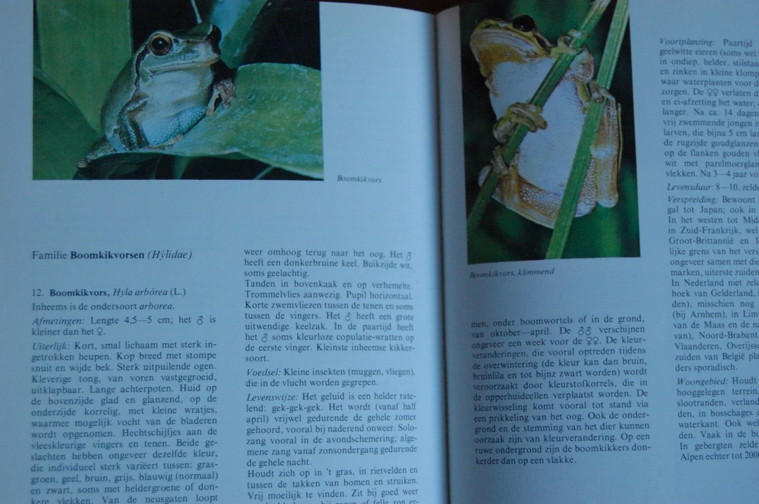 Wat is dat voor een dier?