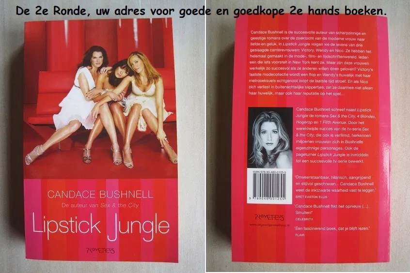 163 Lipstick Jungle Candace Bushnell