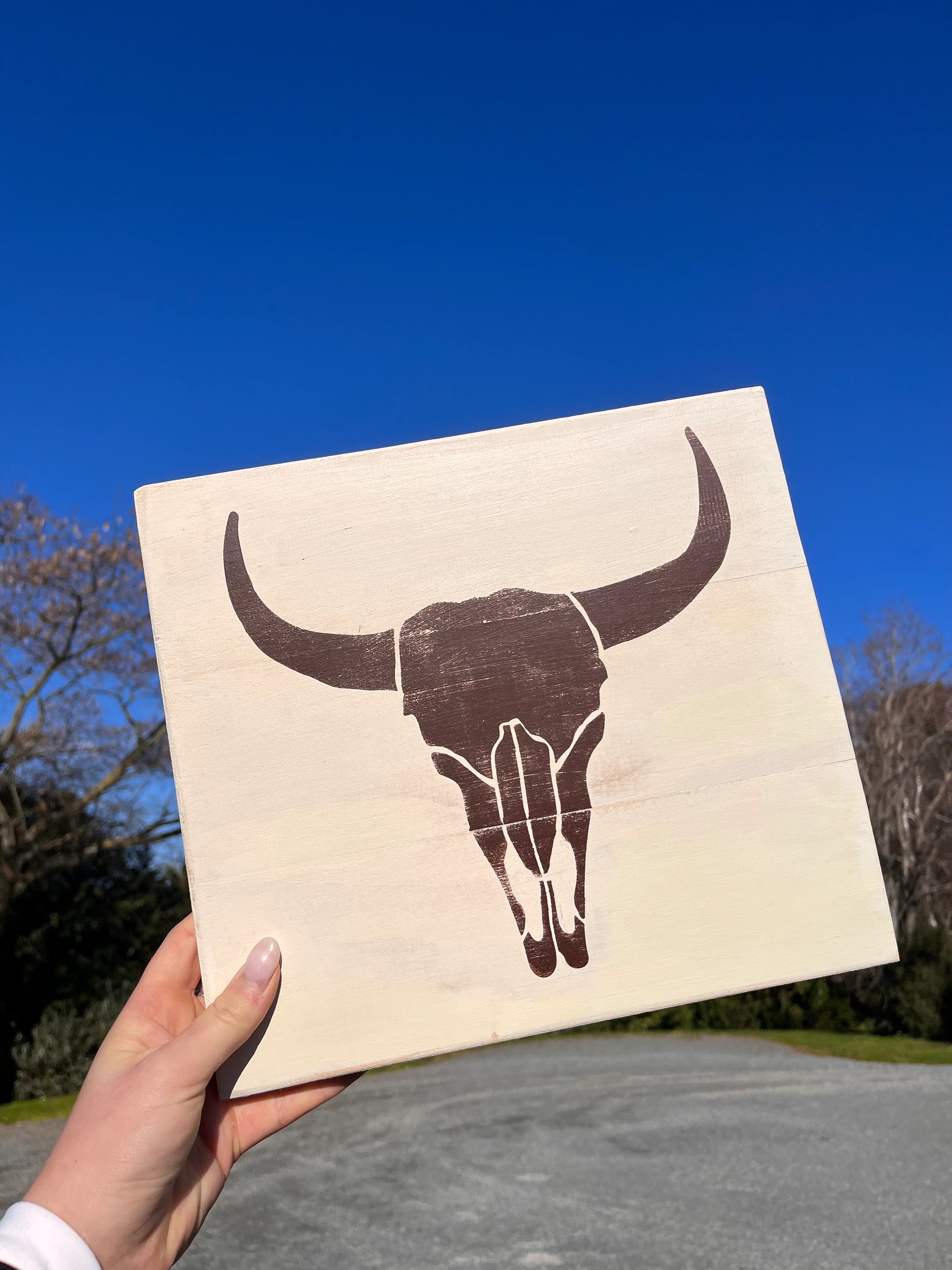 PS DESIGN Longhorn board Marlborough Equestrian Barn